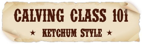 Calving Class 101 Form Banner.jpg